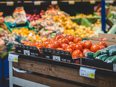 Food and Agricultural Product Testing