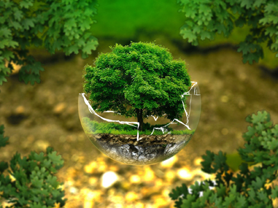 Environmental Monitoring